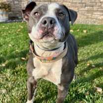 Thumbnail photo of Elsa #3