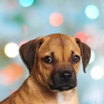 Thumbnail photo of Kayda #1