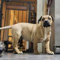 Thumbnail photo of Kayda #3