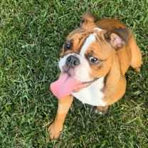 Thumbnail photo of Lola #1