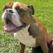 Thumbnail photo of Lola #2