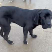 Thumbnail photo of Tank #3