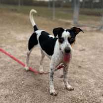 Thumbnail photo of January Valentine~ #1