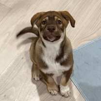 Thumbnail photo of ZEUS #1