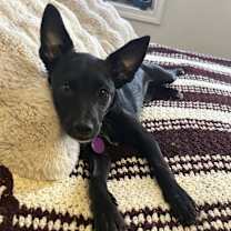 Thumbnail photo of Holiday #1