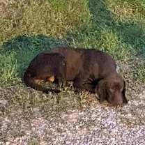 Thumbnail photo of Marianna #4