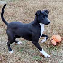 Thumbnail photo of Sharon #1