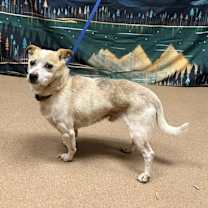 Thumbnail photo of Jake #2