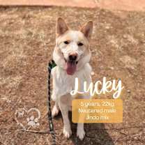 Thumbnail photo of Lucky #1