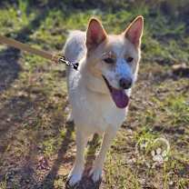 Thumbnail photo of Lucky #3