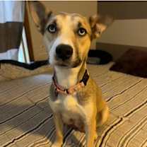 Thumbnail photo of Aspen #3