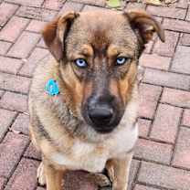 Thumbnail photo of Thanos #1