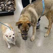 Thumbnail photo of Thanos #3