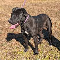 Thumbnail photo of Jody T4 #4