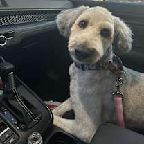 Thumbnail photo of Evie #1