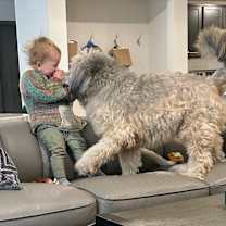 Thumbnail photo of Evie #2