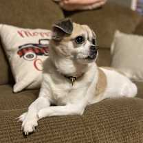 Thumbnail photo of Ellie-Mae #1