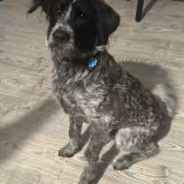 Thumbnail photo of Otto #1