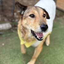 Thumbnail photo of Kiki #3