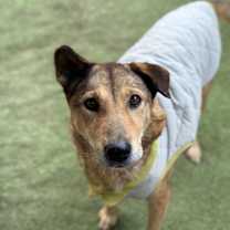 Thumbnail photo of Kiki #4