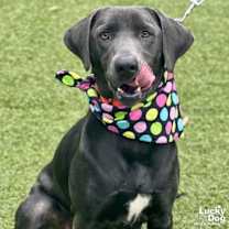 Thumbnail photo of Rosemarie #1