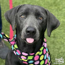 Thumbnail photo of Rosemarie #2