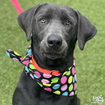 Thumbnail photo of Rosemarie #3