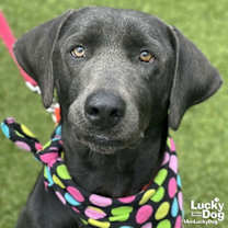 Thumbnail photo of Rosemarie #4