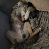 Thumbnail photo of Kai #3