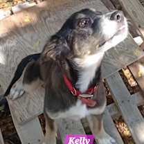 Thumbnail photo of Kelly #2