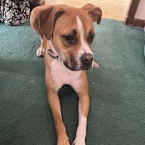 Thumbnail photo of Lily #2