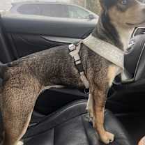 Thumbnail photo of Harper #3