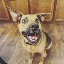 Thumbnail photo of Atlas #1