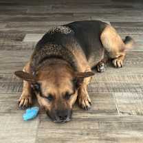 Thumbnail photo of Atlas #3