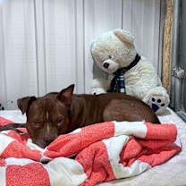 Thumbnail photo of Larry #4