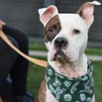 Thumbnail photo of Paige #1