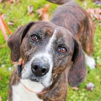 Thumbnail photo of Robert #1