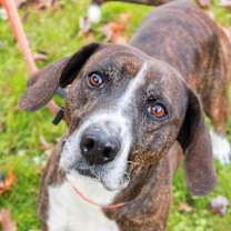 Thumbnail photo of Robert #2