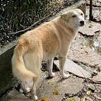 Thumbnail photo of Marilyn #2