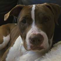 Thumbnail photo of GEORGE #1