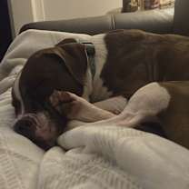 Thumbnail photo of GEORGE #2