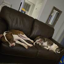 Thumbnail photo of GEORGE #3