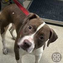 Thumbnail photo of GEORGE #4