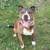 Thumbnail photo of Reece #2