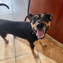 Thumbnail photo of Everett #1