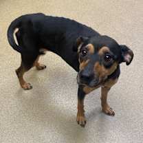 Thumbnail photo of Everett #2