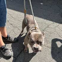 Thumbnail photo of Raine #2