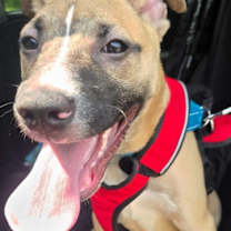 Thumbnail photo of Bubba #4