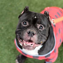 Thumbnail photo of Carlos #1