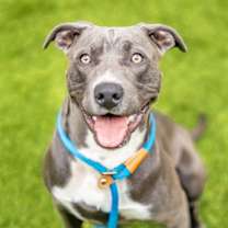 Thumbnail photo of LUCKY #3